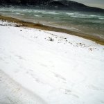 2012-02.03 005